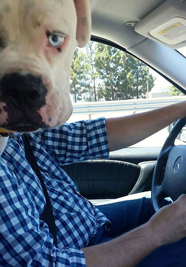 Driving to Work in the Morning Be Like