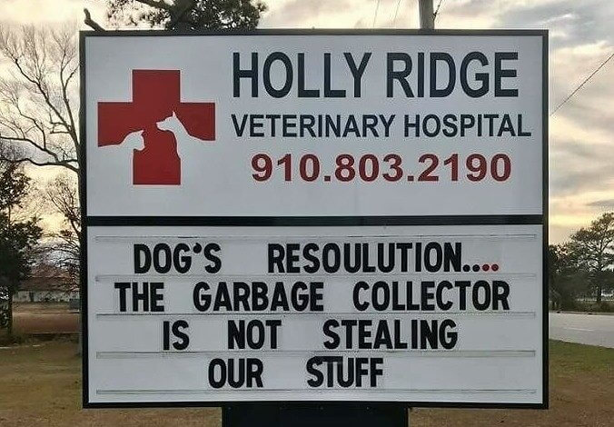 If We Could Read Our Dogs' Minds