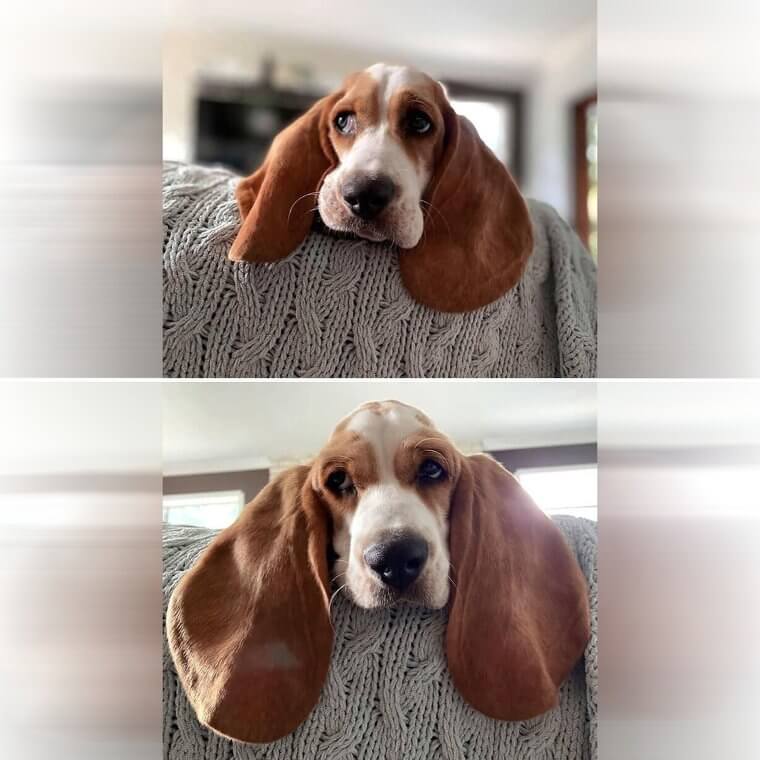 Floppy Side-Eye