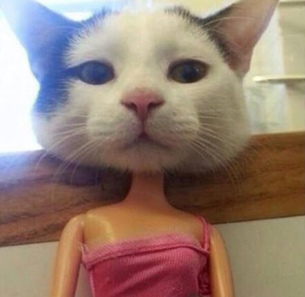 Is This Some Sort of Ancient Egyptian God?