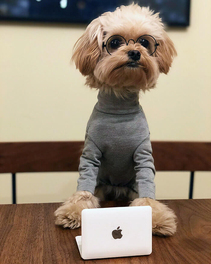 Alright, Steve?
