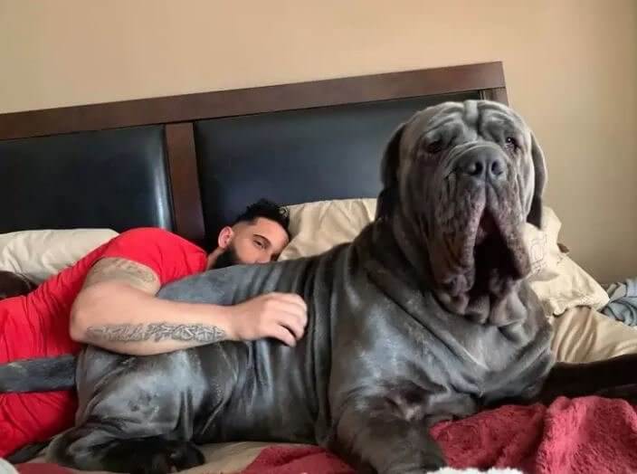 When Your Partner Wants to Make Up But You're Still Upset