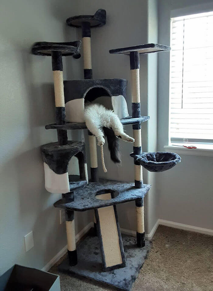 Mount Ever Rest