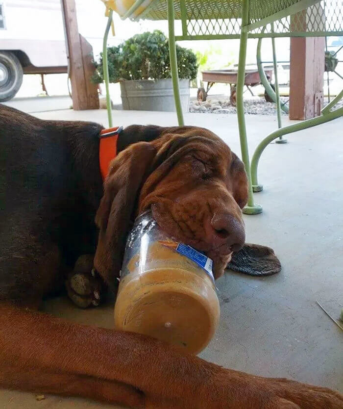 Peanut Butter Bliss