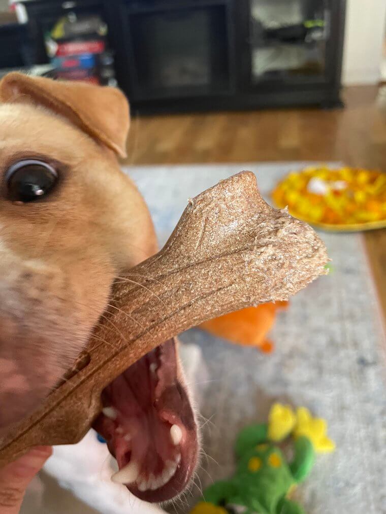 Opt for Edible Chew Toys