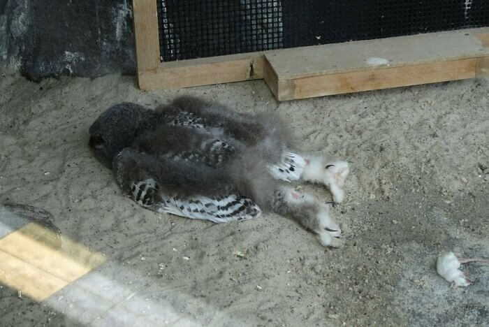 Comfortable There, Friend?
