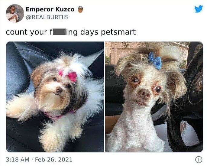 At Least She's Rocking That High Pony!