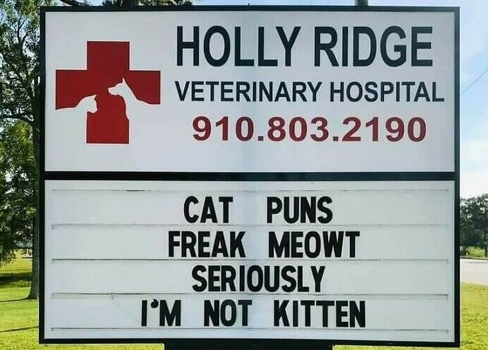 A Hit With Millennials