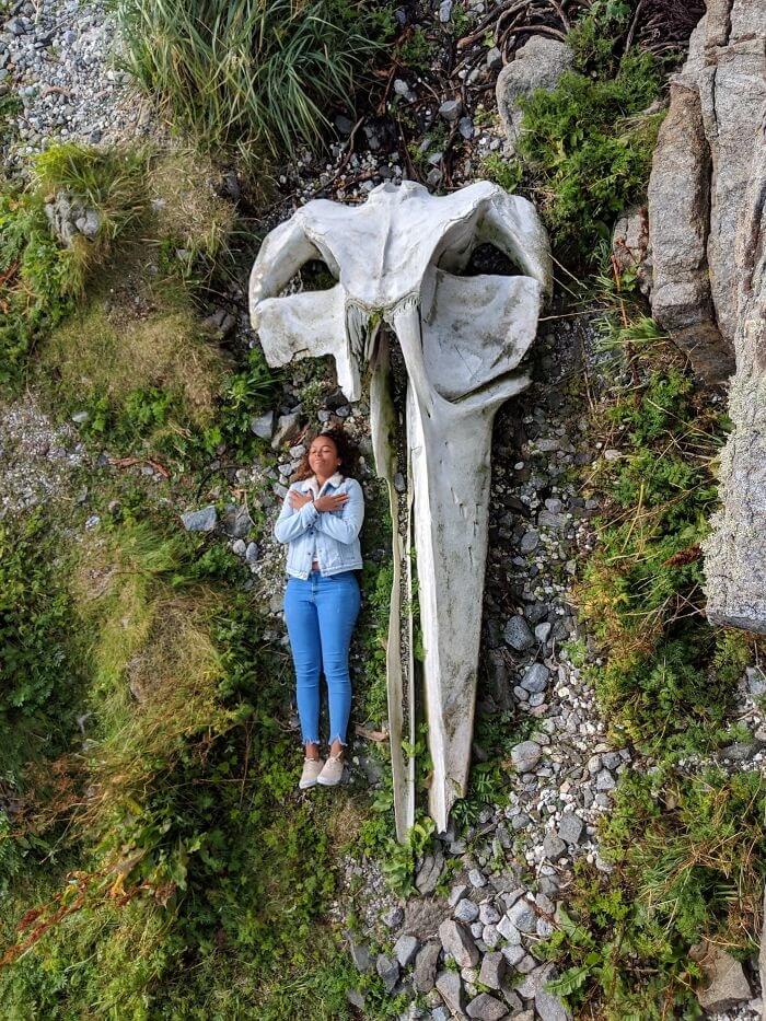 A Whale Skull Compared To A Full-Sized Human