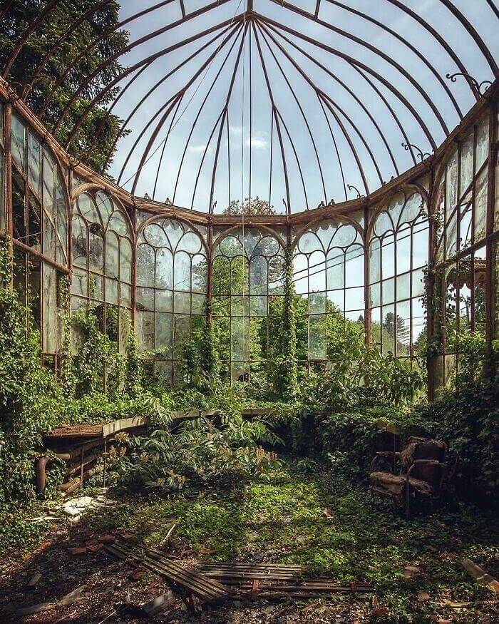 An Abandoned Greenhouse Is The Perfect Place For Nature To Thrive