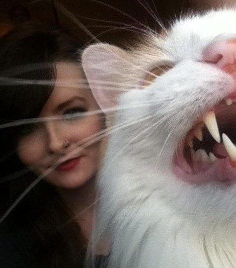 When You're Fed Up With Selfies