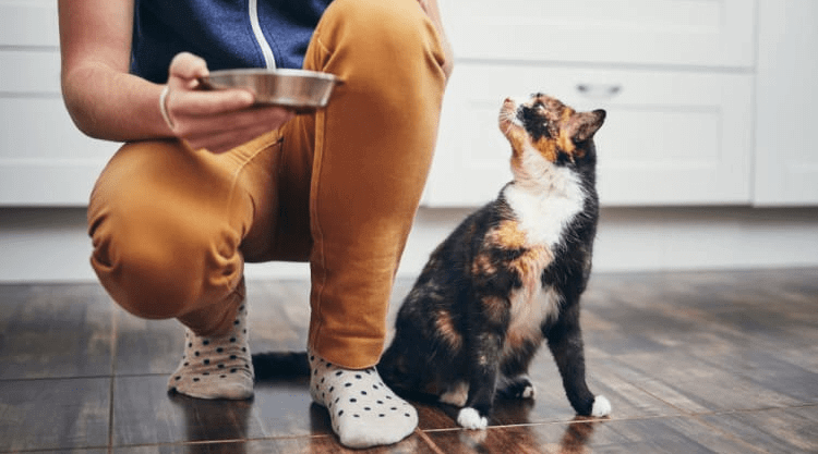 It’s A Sense Of Responsibility