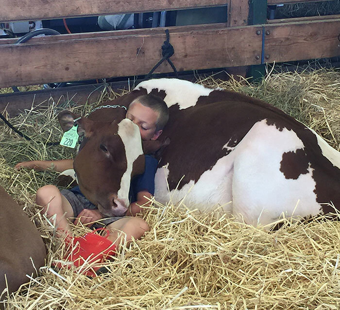 A Boy and His Cow