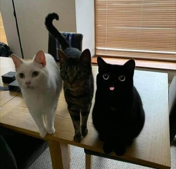 There's Always One