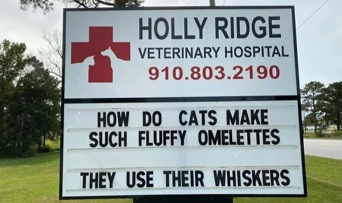 An Egg-Cellent Play on Words