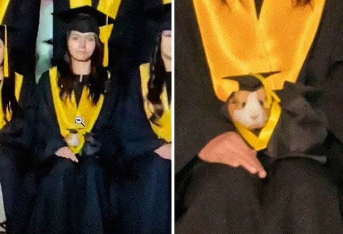 A Tiny Graduate