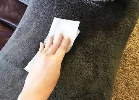 The Easiest Way to Remove Dog Hair From Clothes