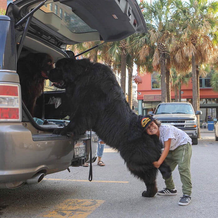 Moving Apartments All By Yourself Is Like: