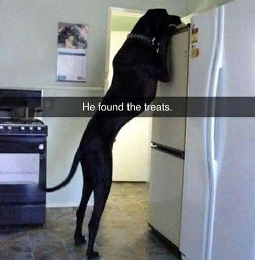 When You're Scouring Your Grandma's House for Candy