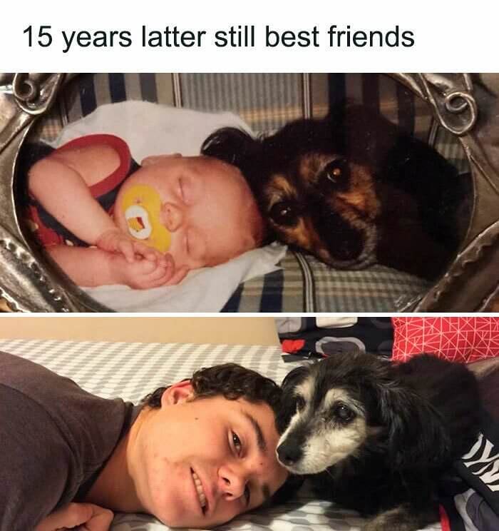 Best Friends Forever