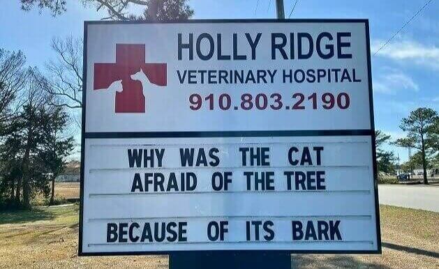 What Do Dogs and Trees Have in Common?