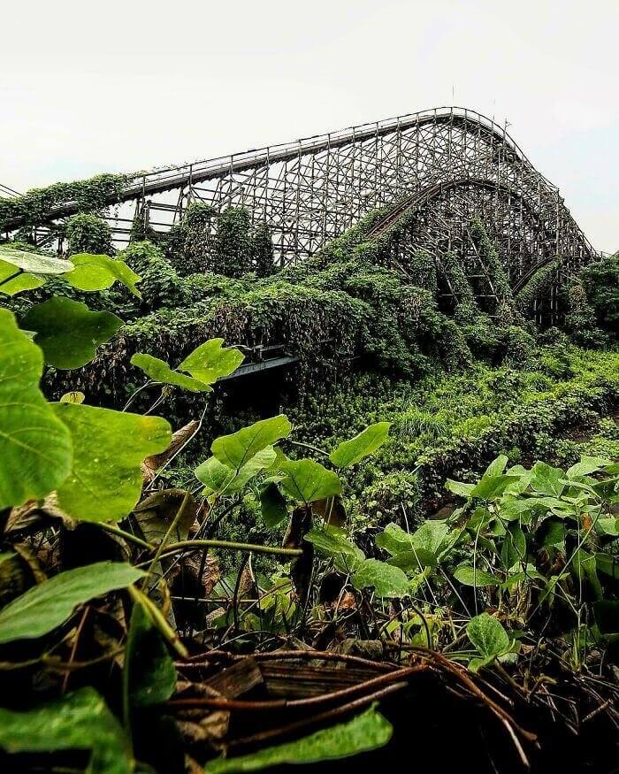 Old Roller Coaster Straight Out Of Jurassic Park
