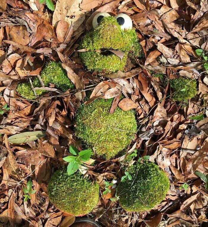 Tickle Me Elmo Went Green With Moss