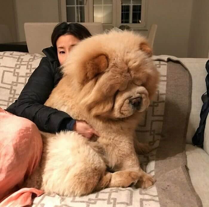 When You're Big but Shy