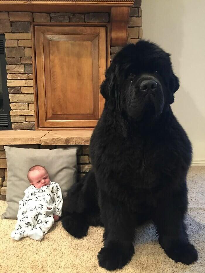 When You Have to Babysit Your Little Brother