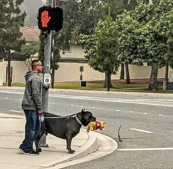 When You Take Your Little Brother for A Walk