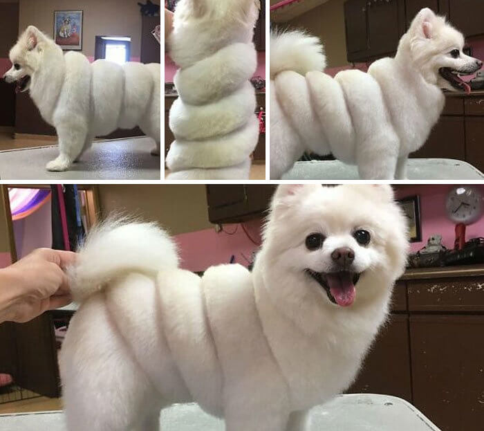 We Just Want to Take a Bite Out of This Little Pastry