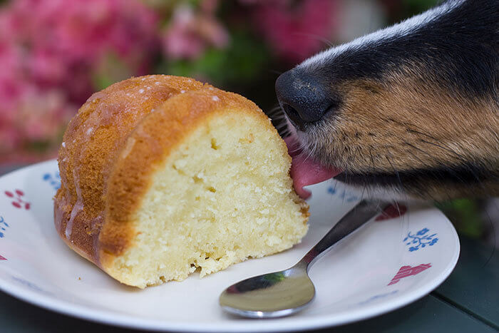 Just a Little Lick