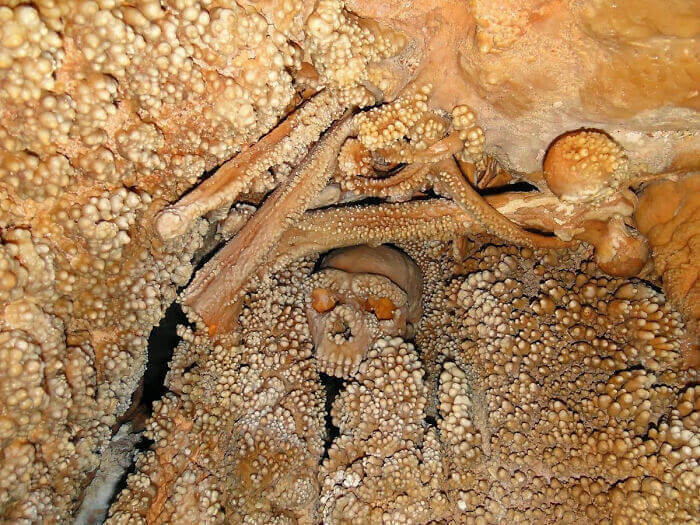 130,000-Year-Old Neanderthal Skull Encased In Stalagmites