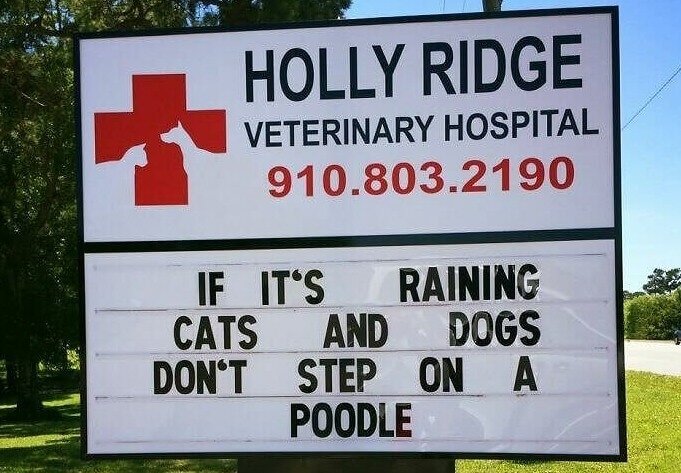 At Least It's Not Raining Men