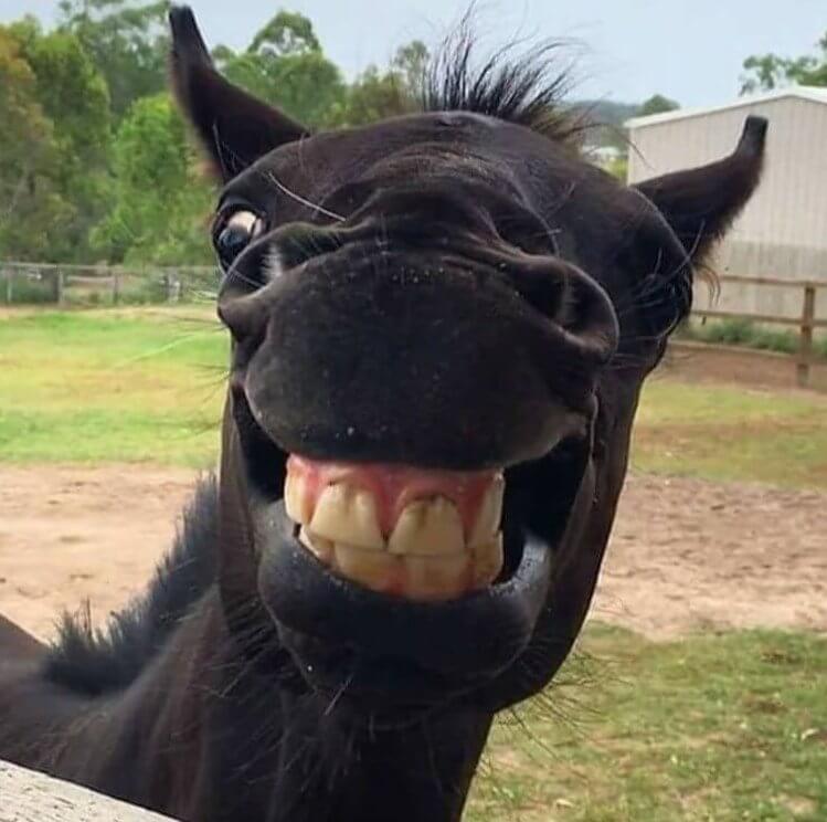 He Paid Good Money for That Smile