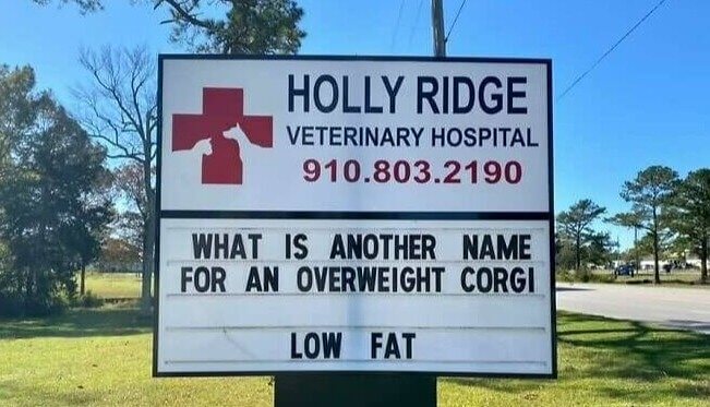 The Cutest Chub Loafs