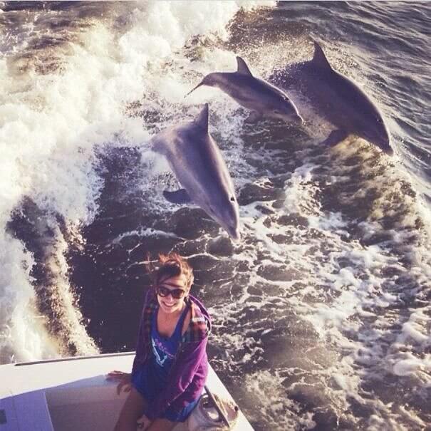 Dolphins Caught at the Perfect Time