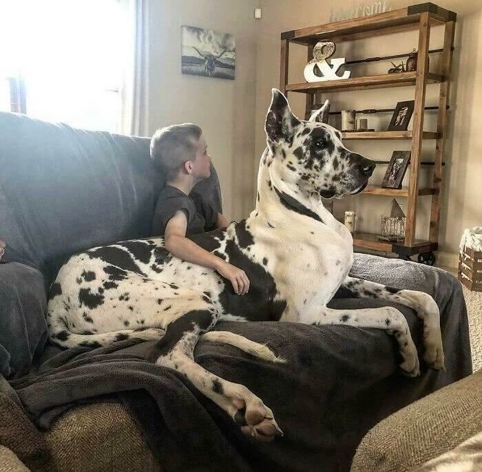 Netflix and Chill?