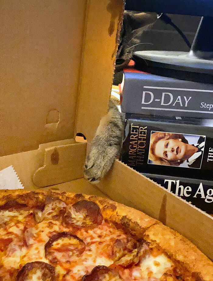 Paws Me the Pizza
