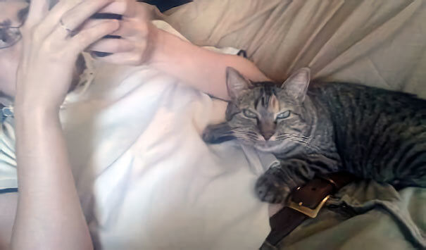 "My Cat Told Me He's Her Boyfriend Now"