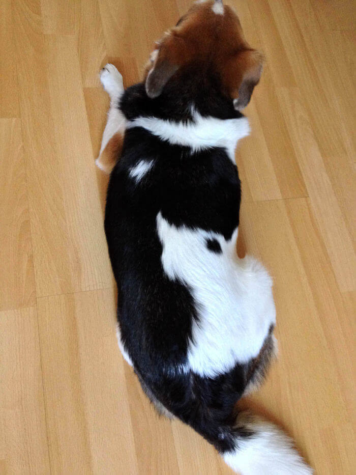 Yin And Yang