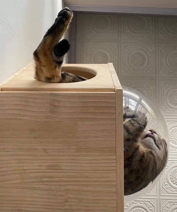 The Hot Feet Solution