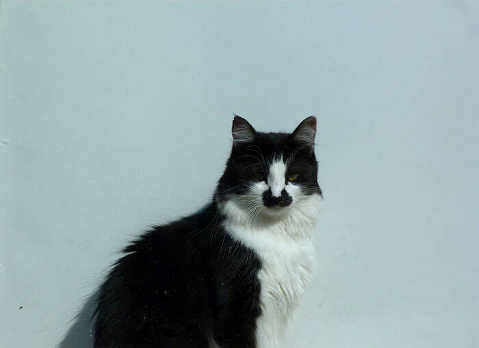 Inspector Poirot