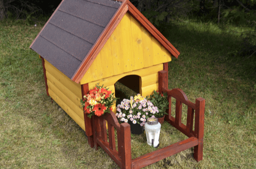 Step 5: A Ceremony to Cherish Your Pet