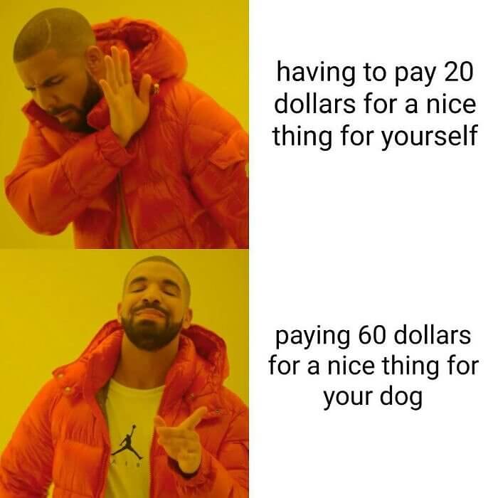 If It's for Your Dog, It's Worth It