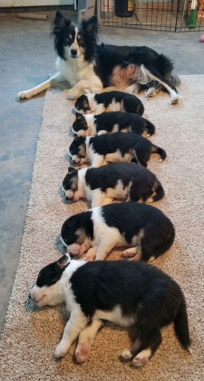 Synchronized Sleeping