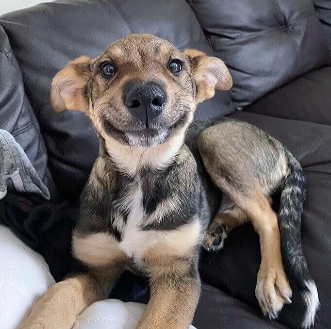 That Smile, Though!