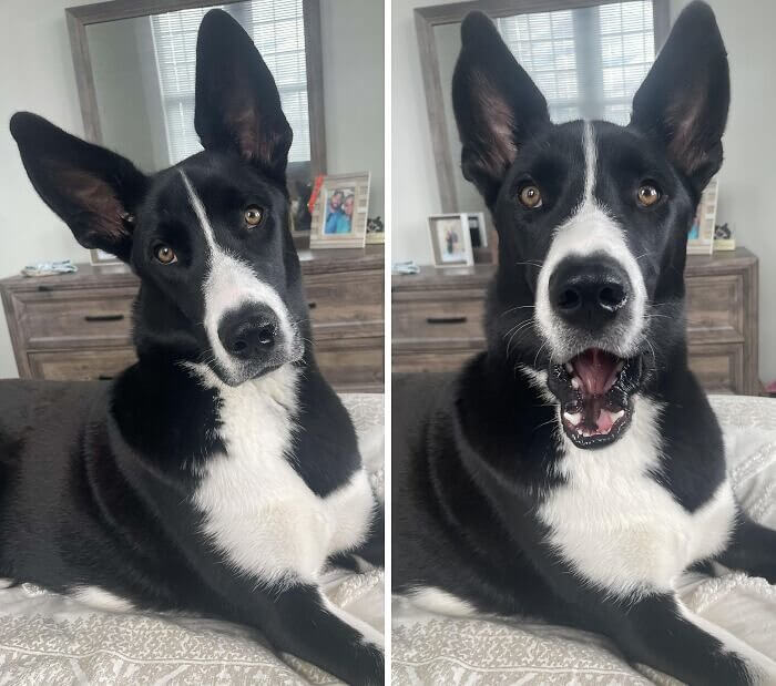 Surprise!