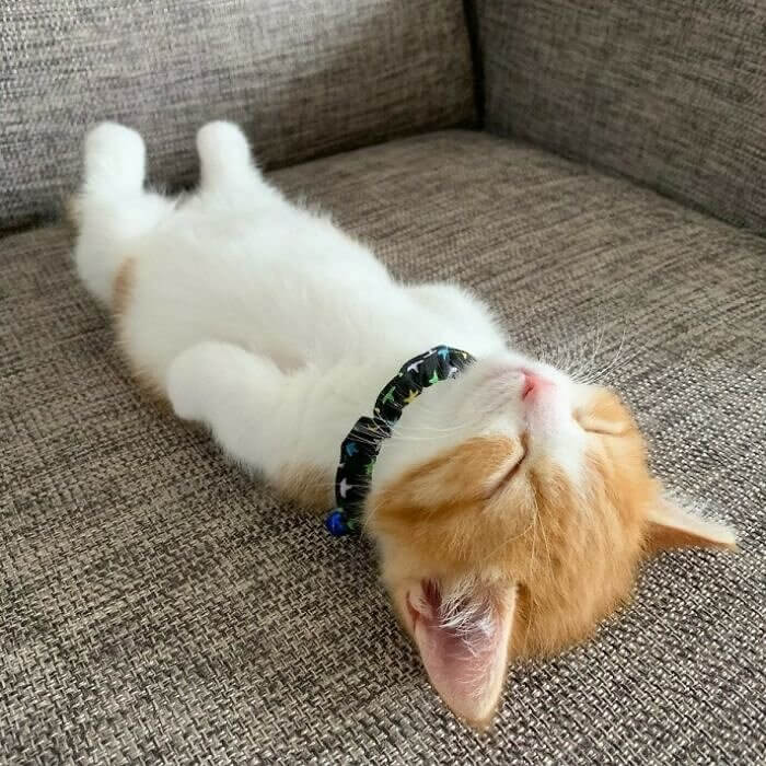 Total Relaxation