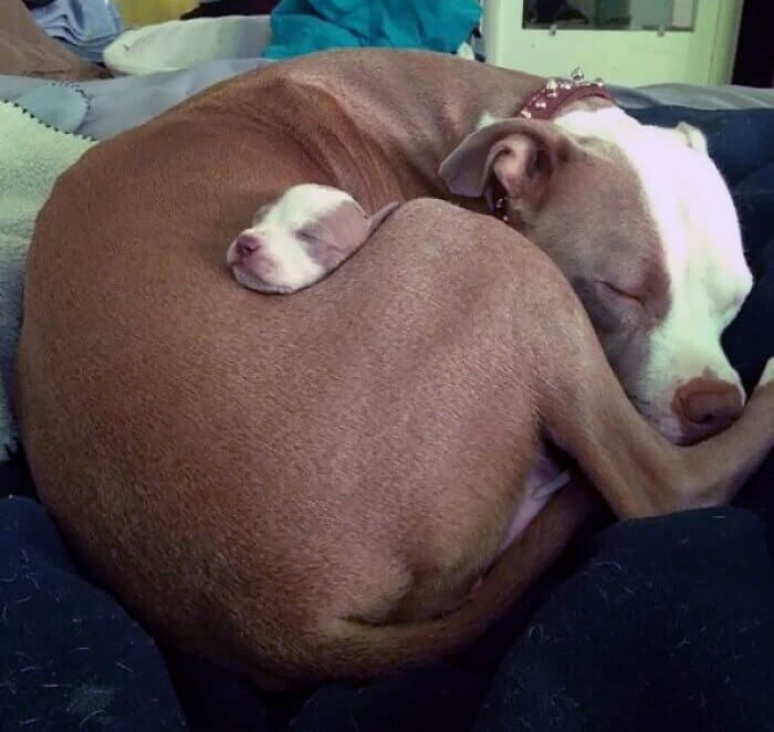 All Tucked in